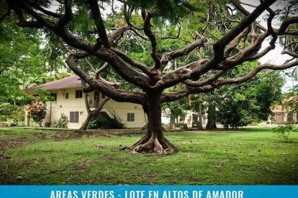 Lot in altos de amador with two level house