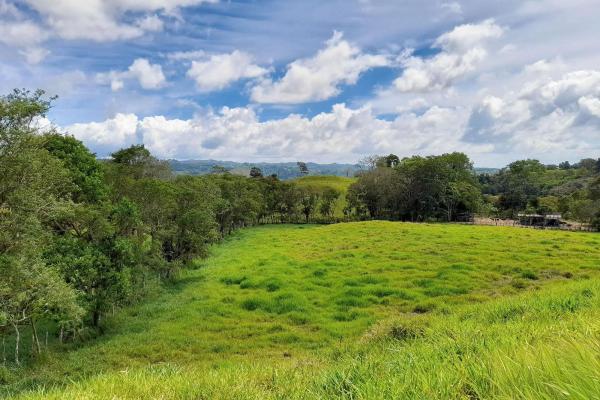 Expansive 146.652 ha property with water sources