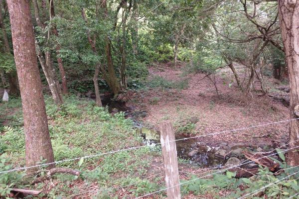 Sale of land 116 acres in san miguel, pacora river