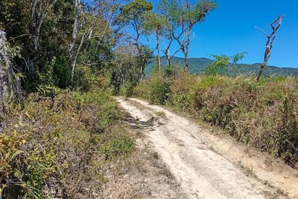 22 hectares with creek and mountain views