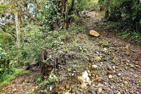 96.10 hectare in boquerón, las monjas