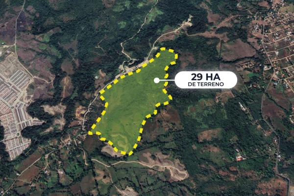29 ha land for sale in pacora