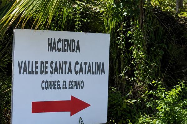 Venta terrenos el espino san carlos
