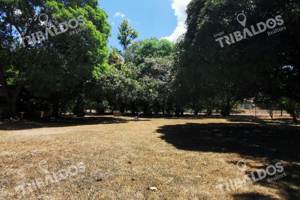 Terreno con casa en santa clara