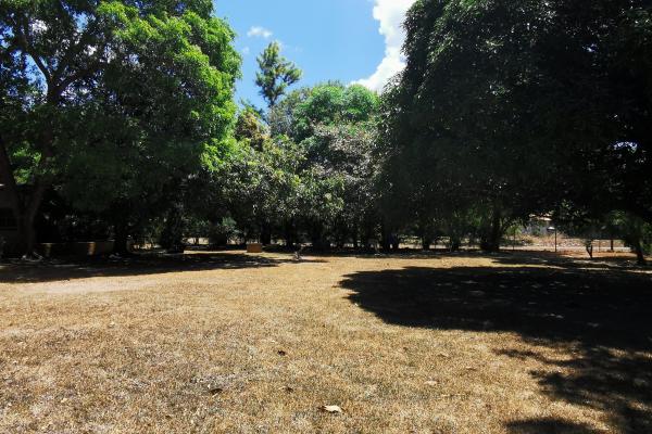 Terreno con casa en santa clara
