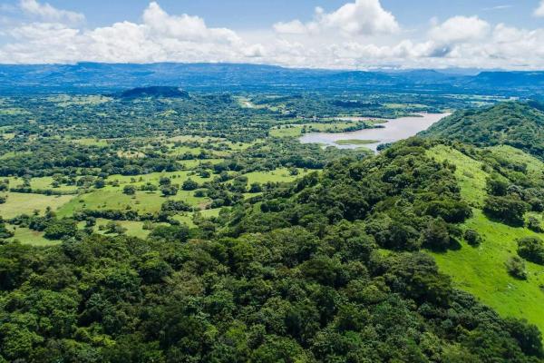 Expansive land for sale in las lomas, david