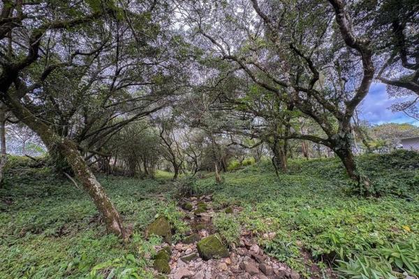Spacious 9,229 m² flat lot in alto boquete