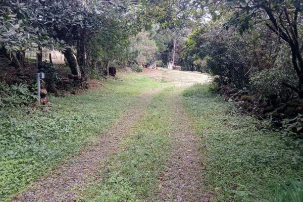 Amplio terreno plano de 9.229 m² en alto boquete