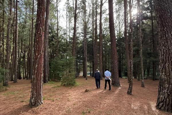 Private estate with river and hotel potential