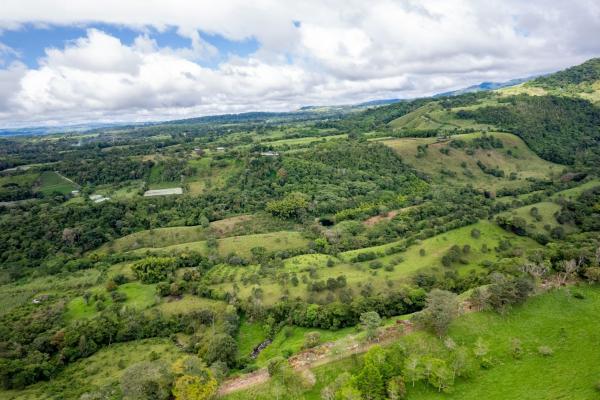 Spring-fed lake & 10 hectares for sale in rovira d
