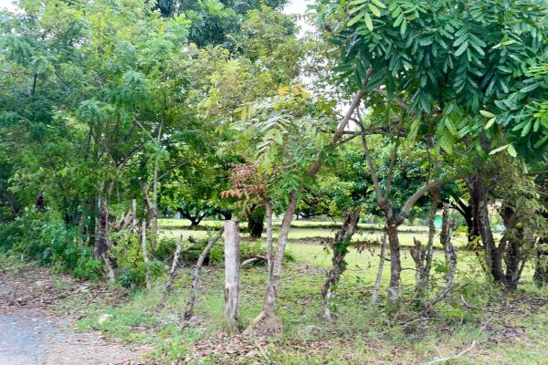 Venta de terreno en gorgona