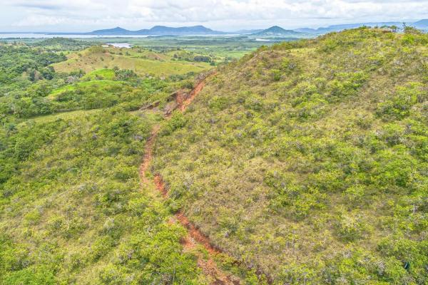 6-hectare hill property for sale in boca chica