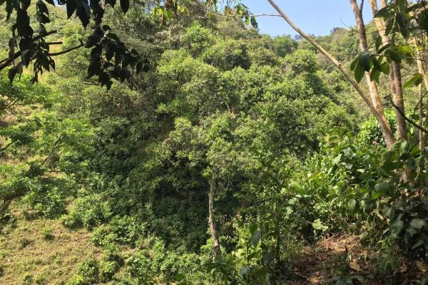 Amplia propiedad de 146.652 ha con fuentes de agua