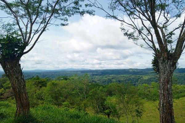 Finca en santa rosa para ganadería y agricultura