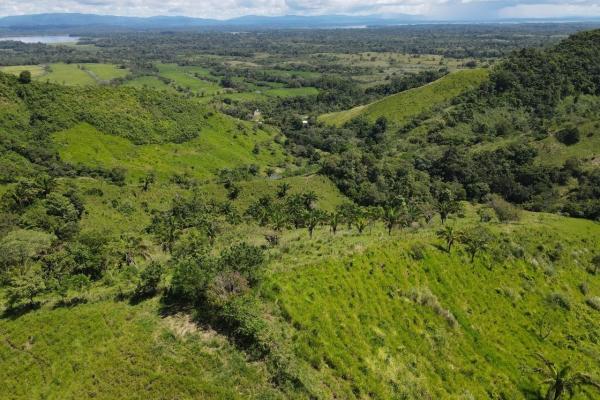 Finca 144 hectareas