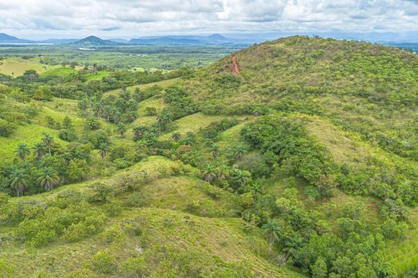 6-hectare hill property for sale in boca chica