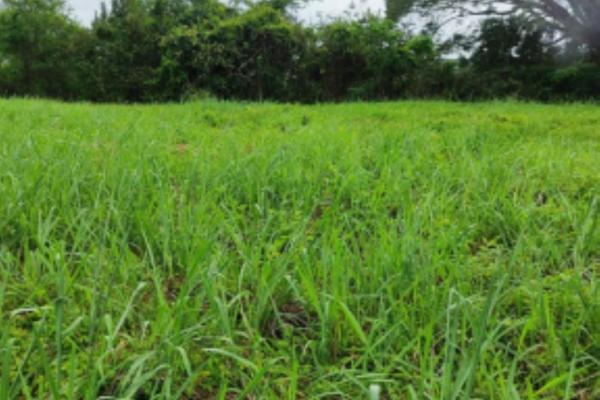 Venta de terreno en herrera, chitre area comercial