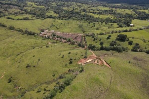 Venta de finca margarita chepo 200 has