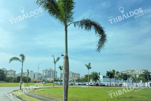 Venta de terreno en santa maria business district