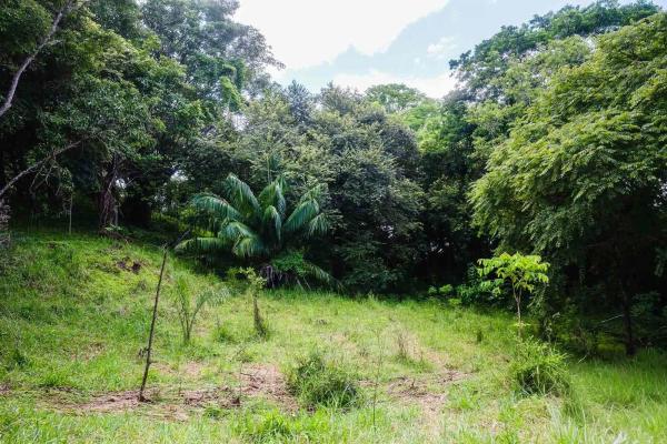 Expansive land for sale in las lomas, david