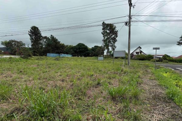 Commercial lot for sale david-boquete highway
