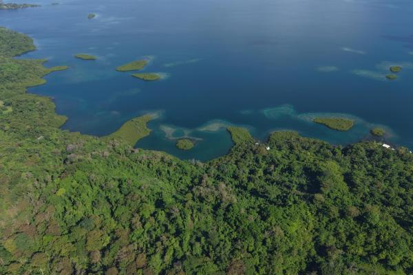 10 hectares of titled waterfront in tierra oscura