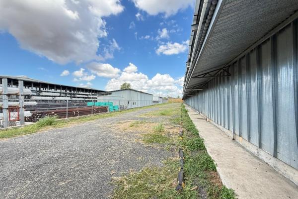 Alquiler de galera en tocumen commercial park