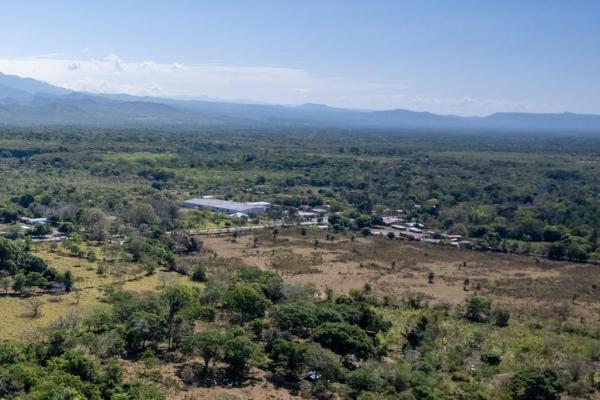 15 hectares fertile land potrerillos, chiriqui