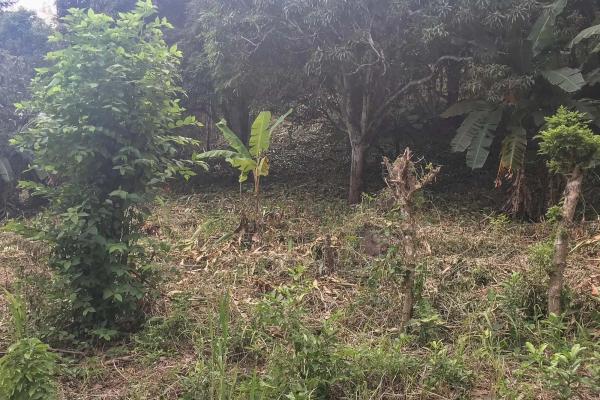 Terreno de 4 hectáreas en venta en veracruz, panamá