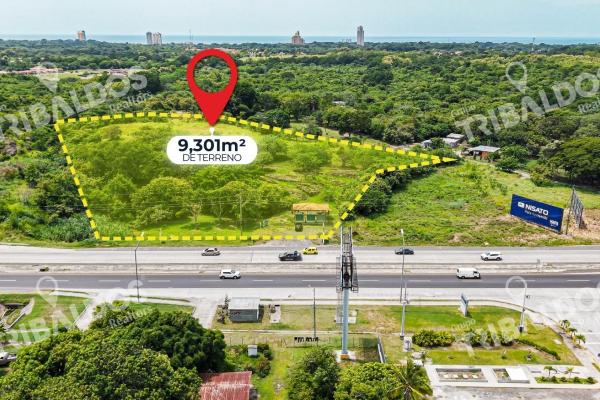 Venta de terreno comercial sobre la interamericana en coronado