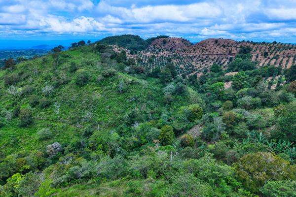 55.74 hectares of paradise in the mountains