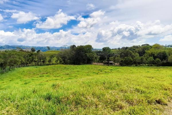 Amplia propiedad de 146.652 ha con fuentes de agua