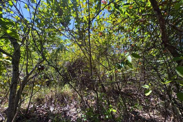 Amplio terreno de 59.086 m² en síndigo, caldera