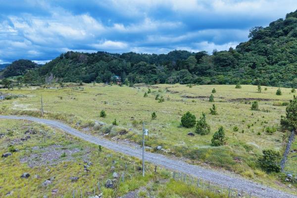 Large residential lot for sale – paso ancho