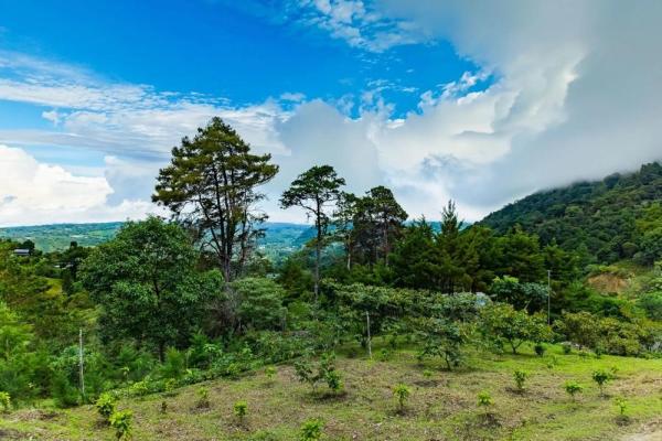 Cabaña con vistas al volcán barú en venta en jaramillo