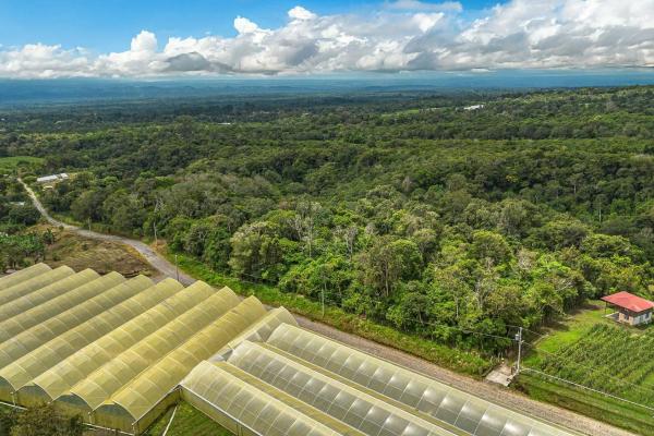 Land with natural forest and mountain views