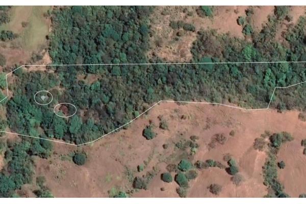 Cambutal lush property for sale near town