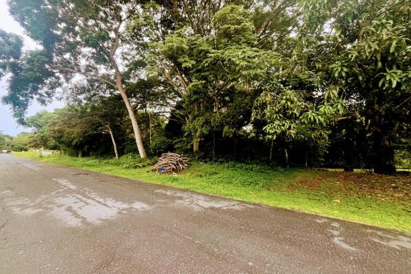 Land for sale of 5000 m2 on the beach of sant