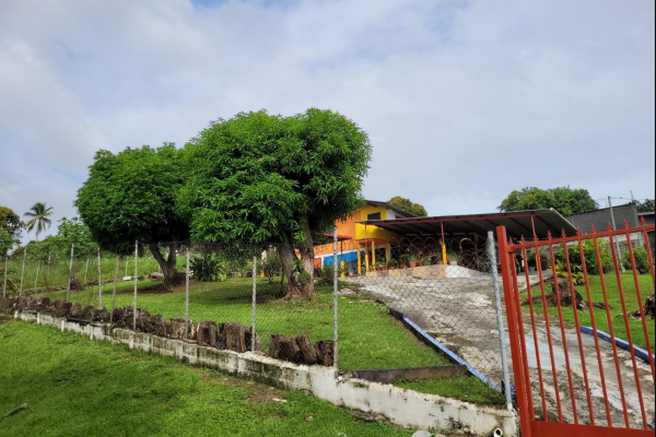Sale of land with improvements in pueblo nuevo