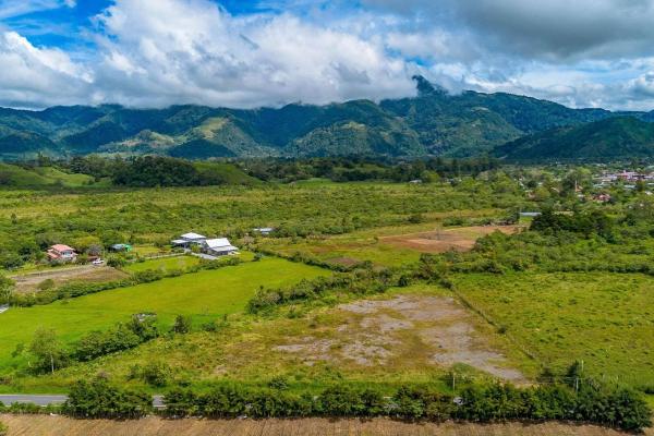 Flat road-front lot for sale in volcan