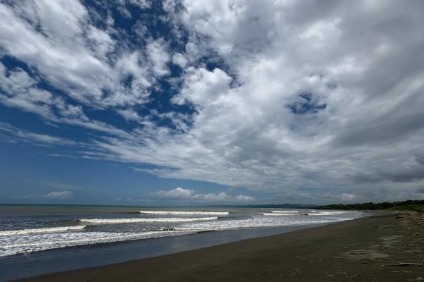 +9 hectáreas de terreno plano frente al mar en venta
