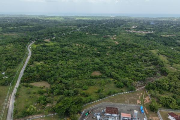 Land for sale 9.9 hectares in san carlos