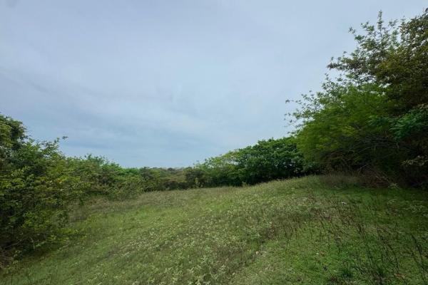 Venta de terreno de 9.9 hectáreas cerca de playas en el higo, san carlos