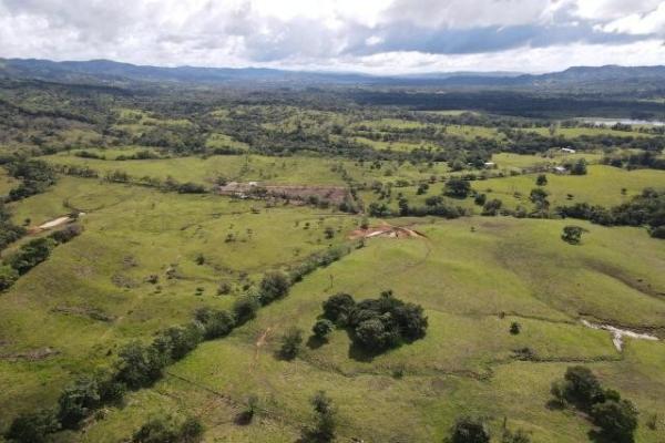 Venta de finca margarita chepo 200 has