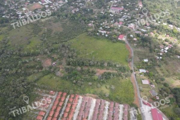 Venta de terreno para desarrollo de casas en arraijan