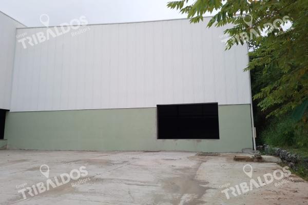 Alquiler de galera en las mañanitas