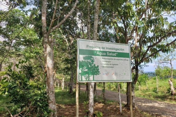 Land for sale in colon, buena vista, el giral