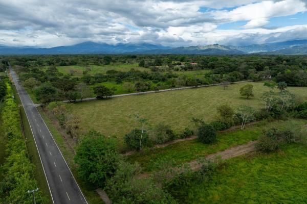 Prime flat land for sale in cochea abajo, david