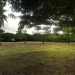 Venta de terreno en punta barco a 100 mts de la panamericana 2.7 hectáreas