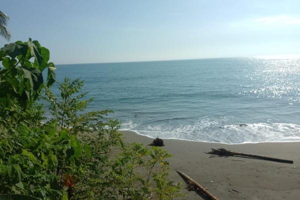 Terreno 69 hectareas en puerto armuelles, limones oportunidad de inversión